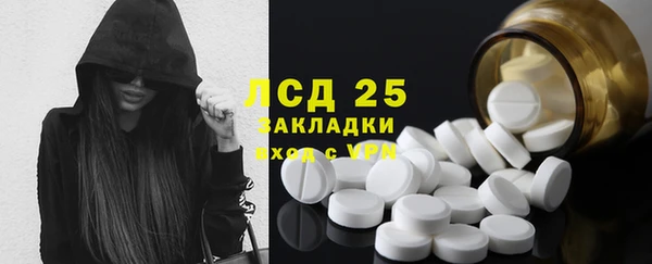 прущие грибы Осташков