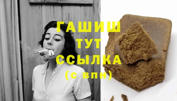 прущие грибы Осташков